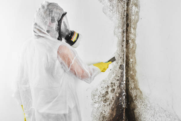 Crawl Space Mold Removal in Masury, OH